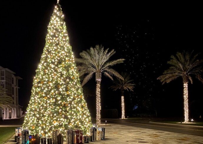 Christmas lighting Services, Palm Beach County Hardscape Pros