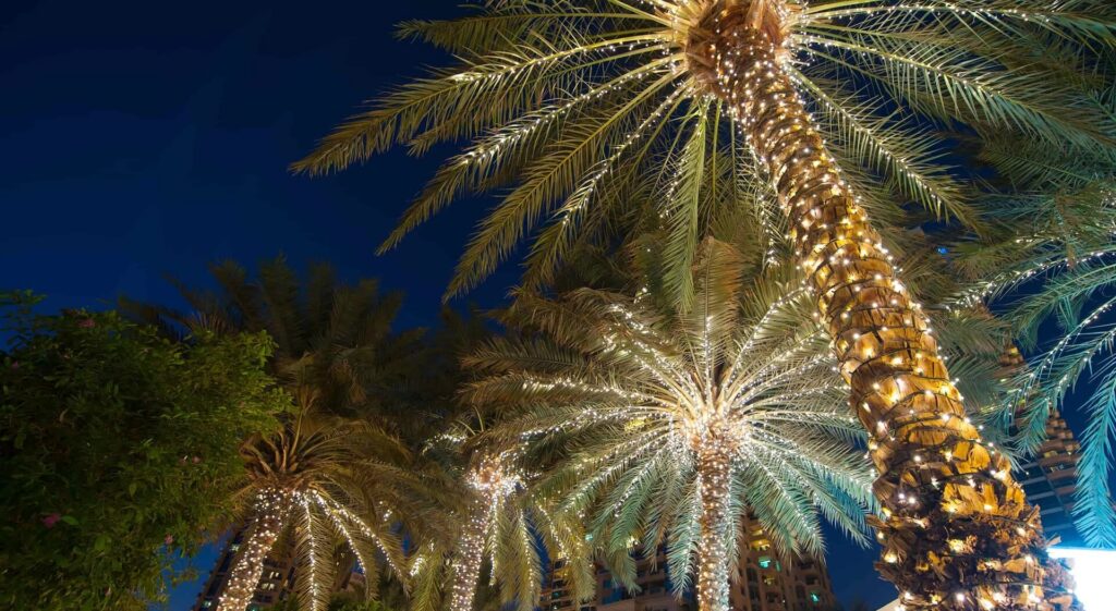 Tree Lighting Services, Palm Beach County Hardscape Pros