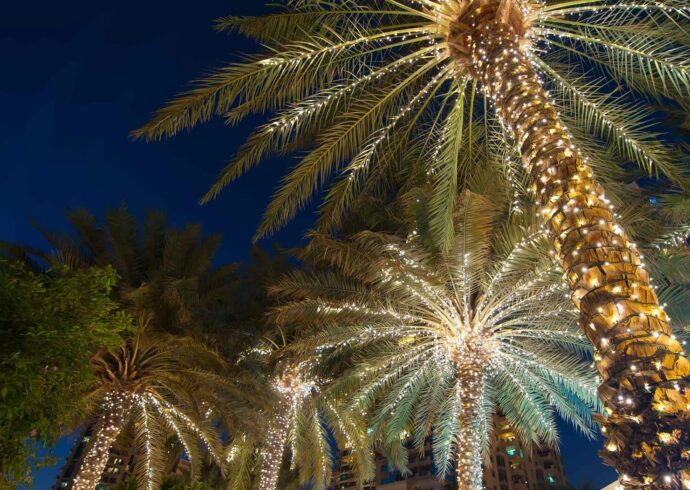 Tree Lighting Services, Palm Beach County Hardscape Pros